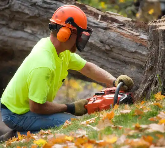 tree services Lake Park